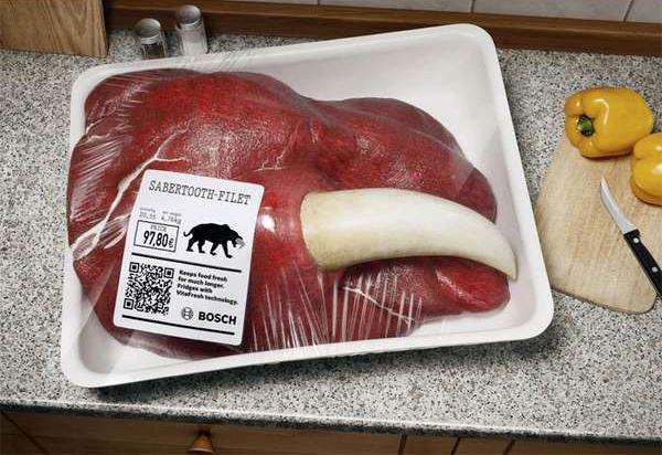 428688_10151653190791214_1338586630_n (1)