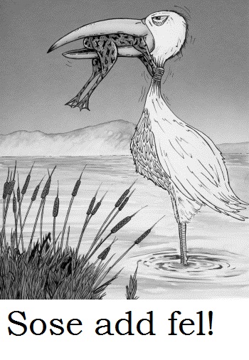 Sose add fel